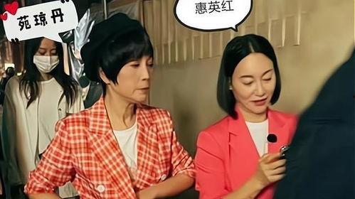 港星互相爆料视频大全集,揭秘娱乐圈幕后真相